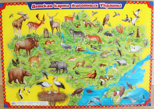 Плакат диких животных