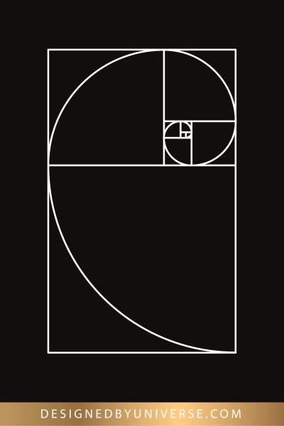 Число Фибоначчи Золотая спираль