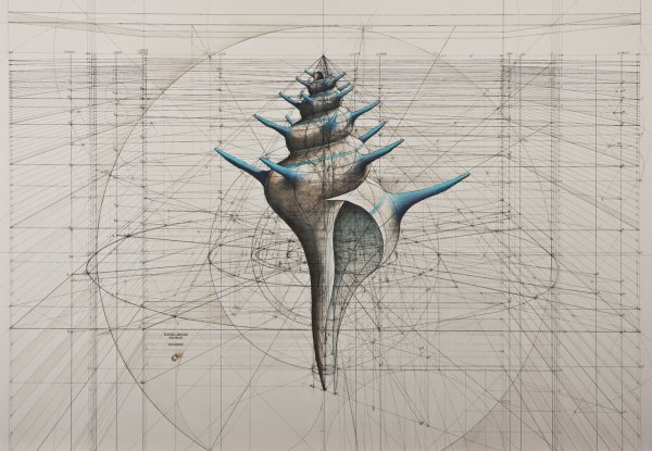 Золотое сечение арт