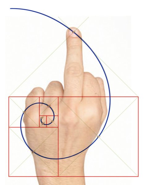 Золотое сечение Golden ratio