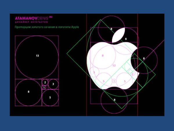 Сечение Фибоначчи в дизайне