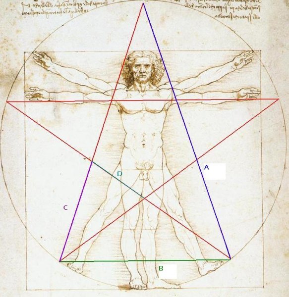 Золотое сечение да Винчи