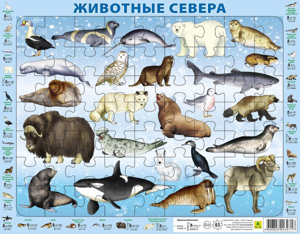 Животные крайнего севера на карте