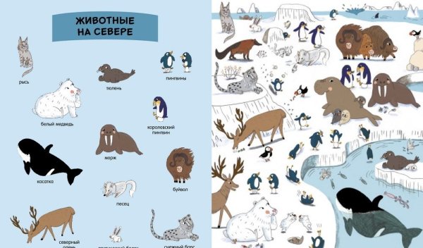 Макет животные севера