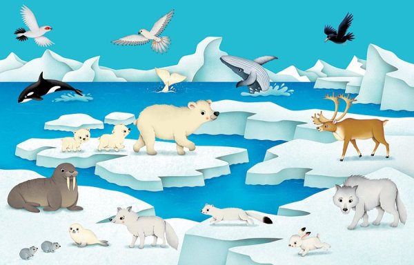 Животные холодных широт