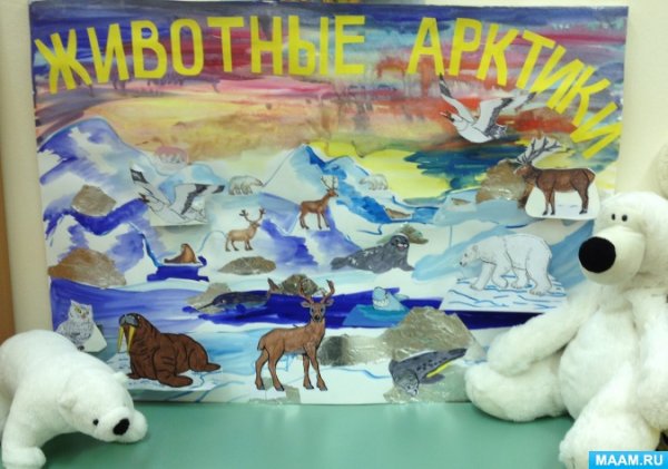 Животные Антарктиды для детей