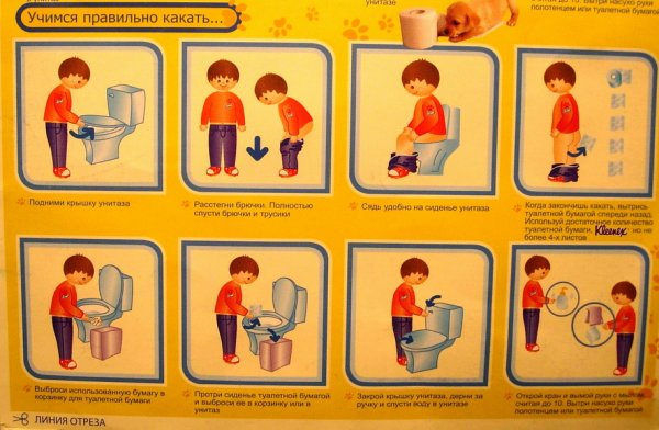 Прикольные вывески на туалет