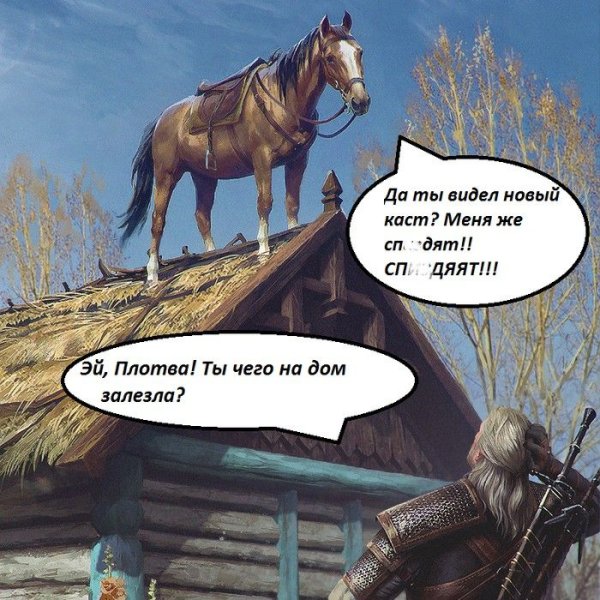 Плотва Ведьмак Мем