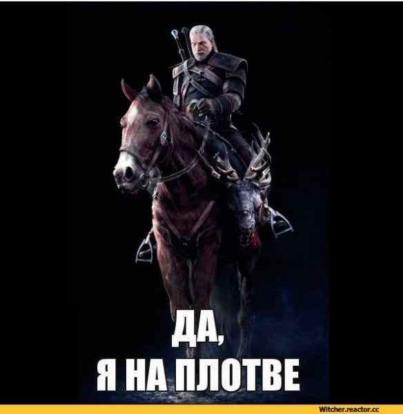 Плотва Ведьмак Мем
