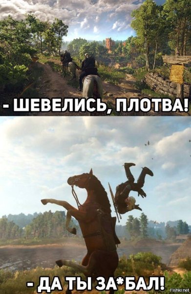 Ведьмак 3 мемы про плотву