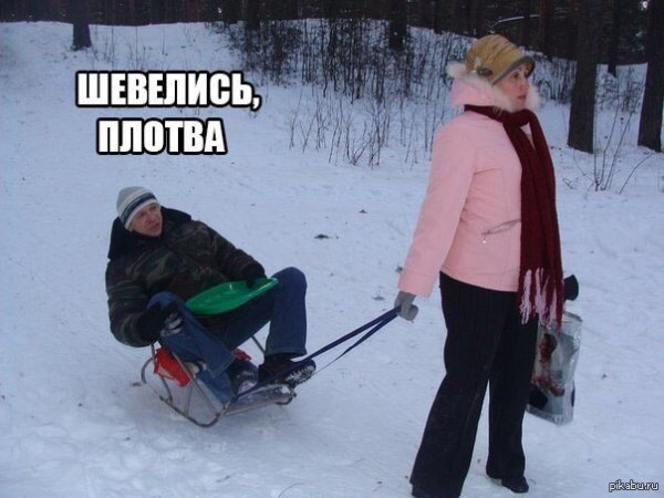 Шевелись плотва