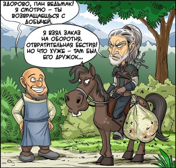 Плотва Ведьмак приколы