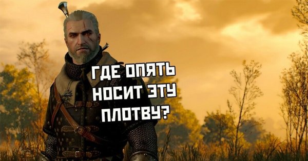 Плотва Ведьмак Мем