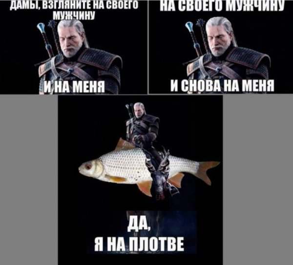 Шевелись плотва Ведьмак