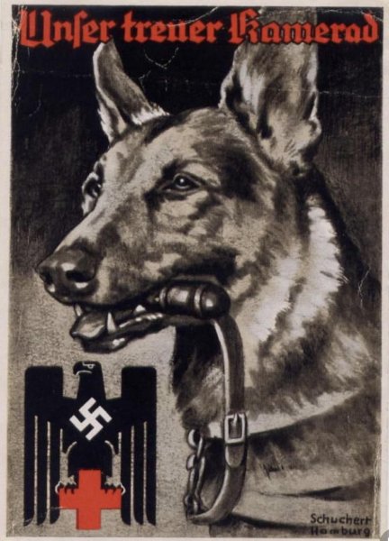 Пропаганда первой мировой войны против Германии