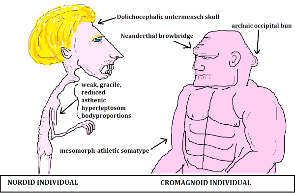 Арийцы унтерменши