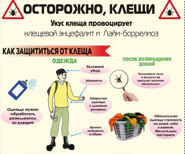 Памятка ОРВИ И грипп