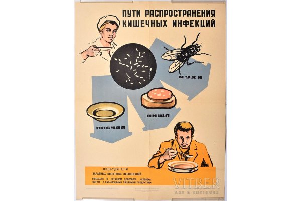 Профилактика инфекционных болезней ОРВИ грипп