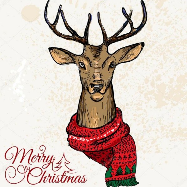 Олень в свитере рисунок