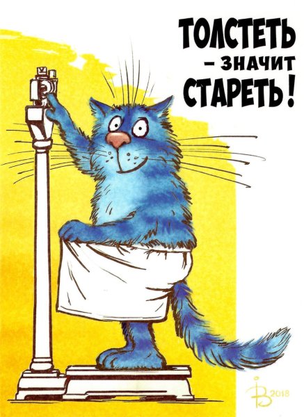 Толстеть значит стареть
