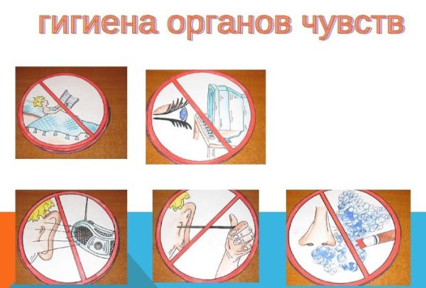 Правила гигиены органов чувств