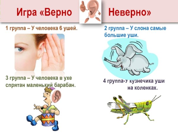 Органы чувств и информация