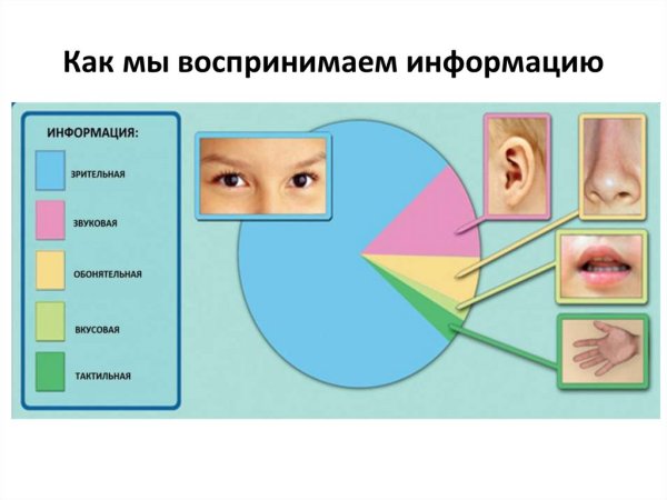 Наши помощники органы чувств