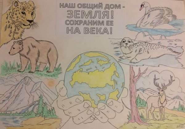 Охрана диких животных