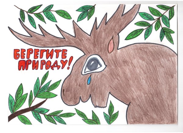 Плакат на тему охраны дикой природы