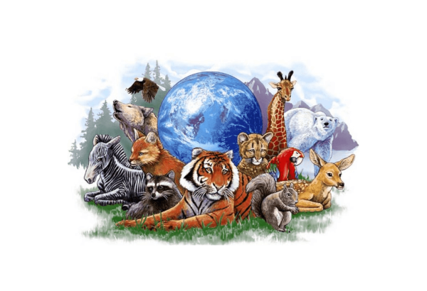 Поделка на тему защита животных