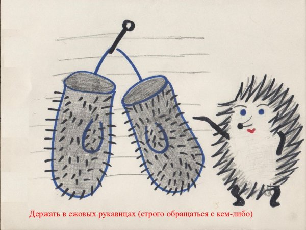 Серова е.в. "Ежовы рукавицы"