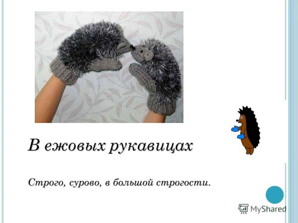 Ежовые рукавицы картина