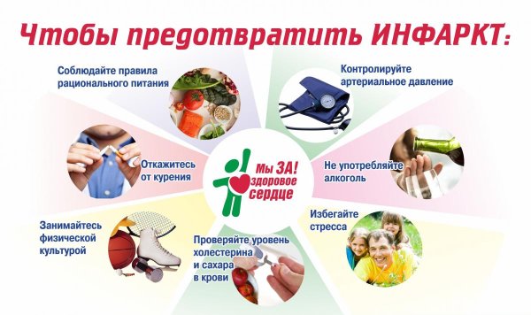 О профилактике инсульта при гипертонической болезни