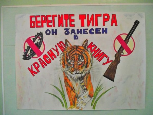 Плакат береги животных