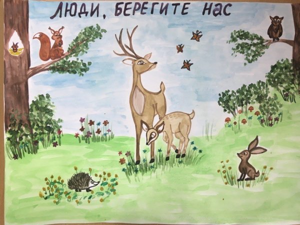 Плакат на тему защита животных