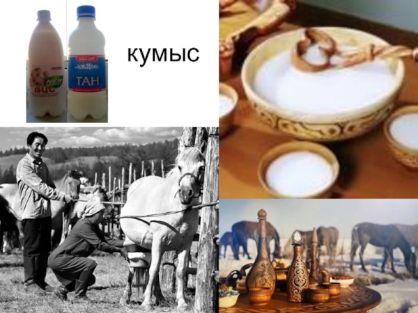 Человек кумыс