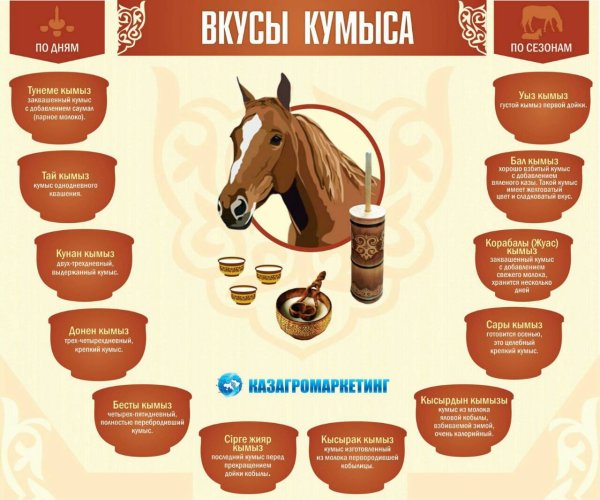 Кумыс сила