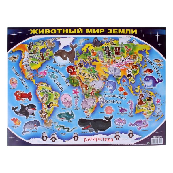 Животные мира плакат