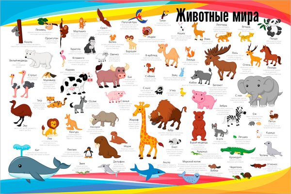 Развивающие плакаты