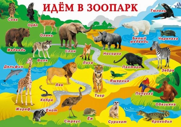 Плакат с животными для детей