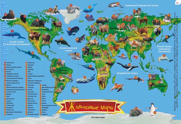 Животный мир Азии для детей