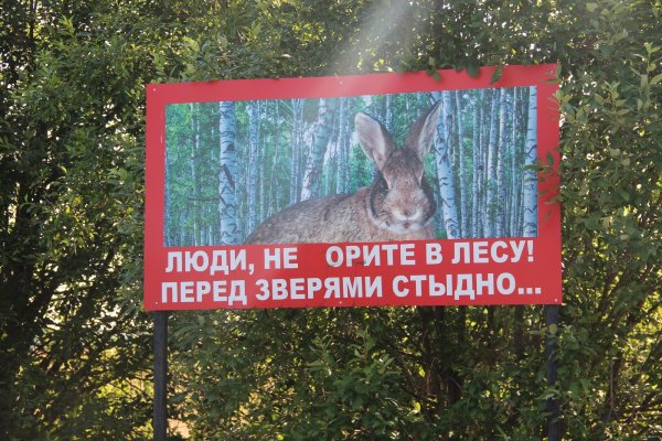 Осторожно могут послать