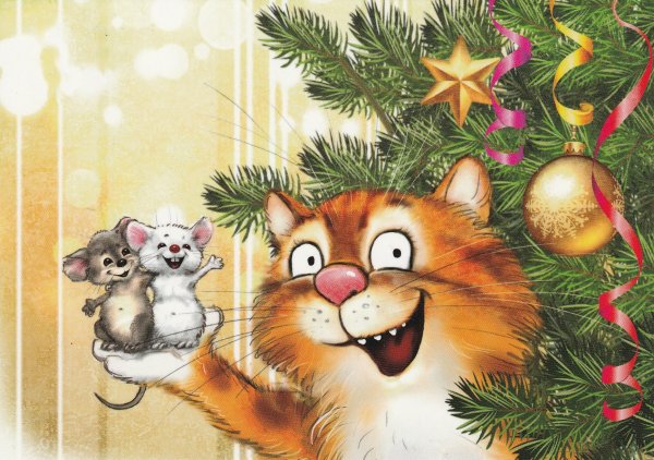 Коты Рины Зенюк 2020 год