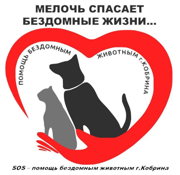 Защита бездомных животных