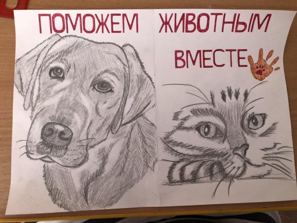 Поможем животным вместе плакаты