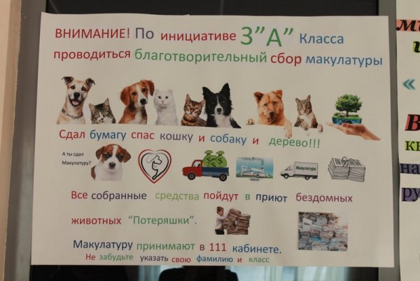 Плакаты приюта для животных