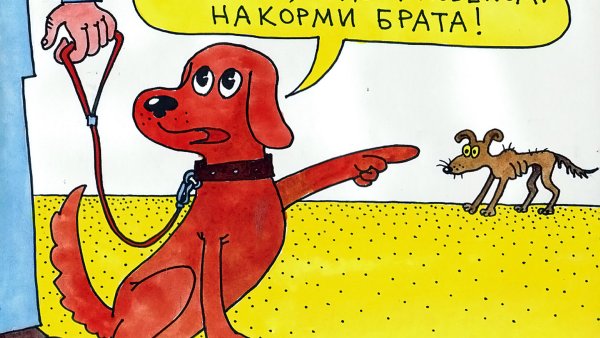 Помощь животным рисунок