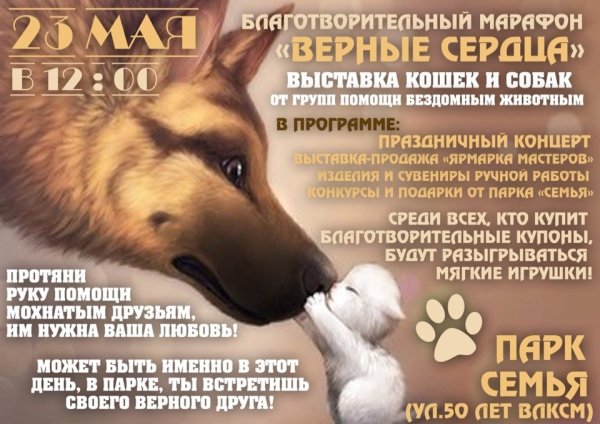 Плакаты приюта для животных