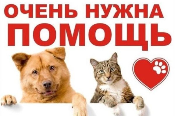 Акция помощи животным
