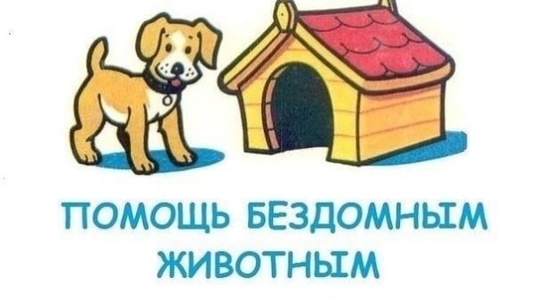 Приют для животных в Домодедово